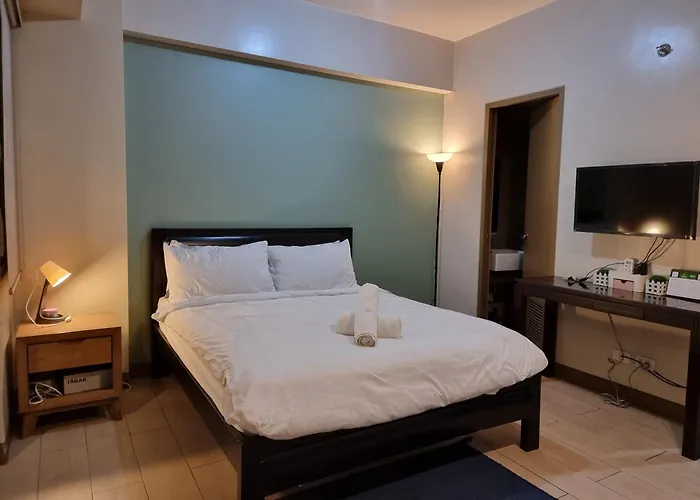 Palm Tree Near Mnl Airport Terminal 3 By Elr Apartment *