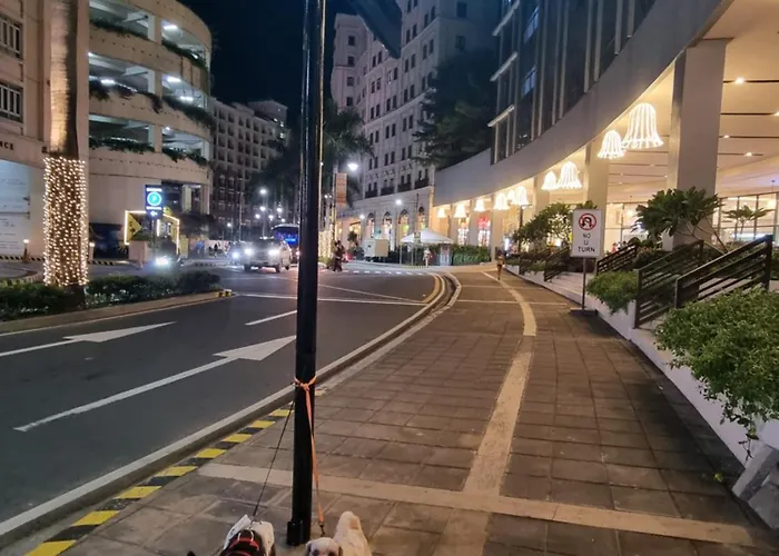 Apartment Palm Tree Near Mnl Airport Terminal 3 By Elr *