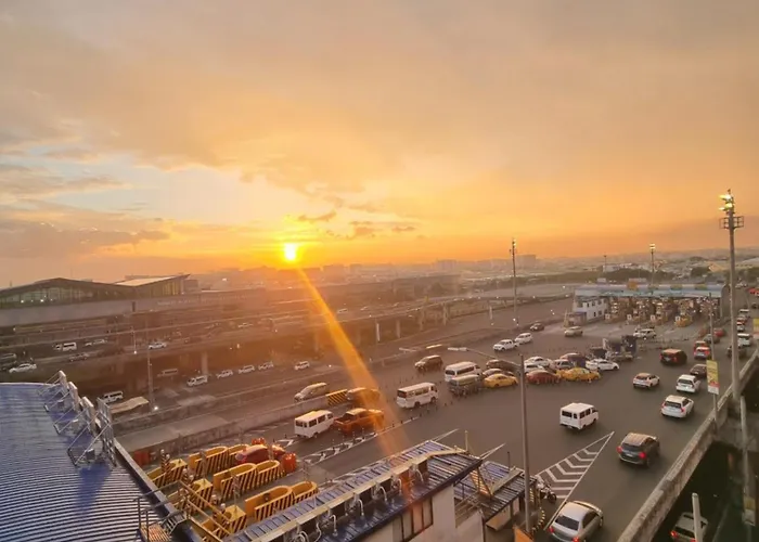 Palm Tree Near Mnl Airport Terminal 3 By Elr